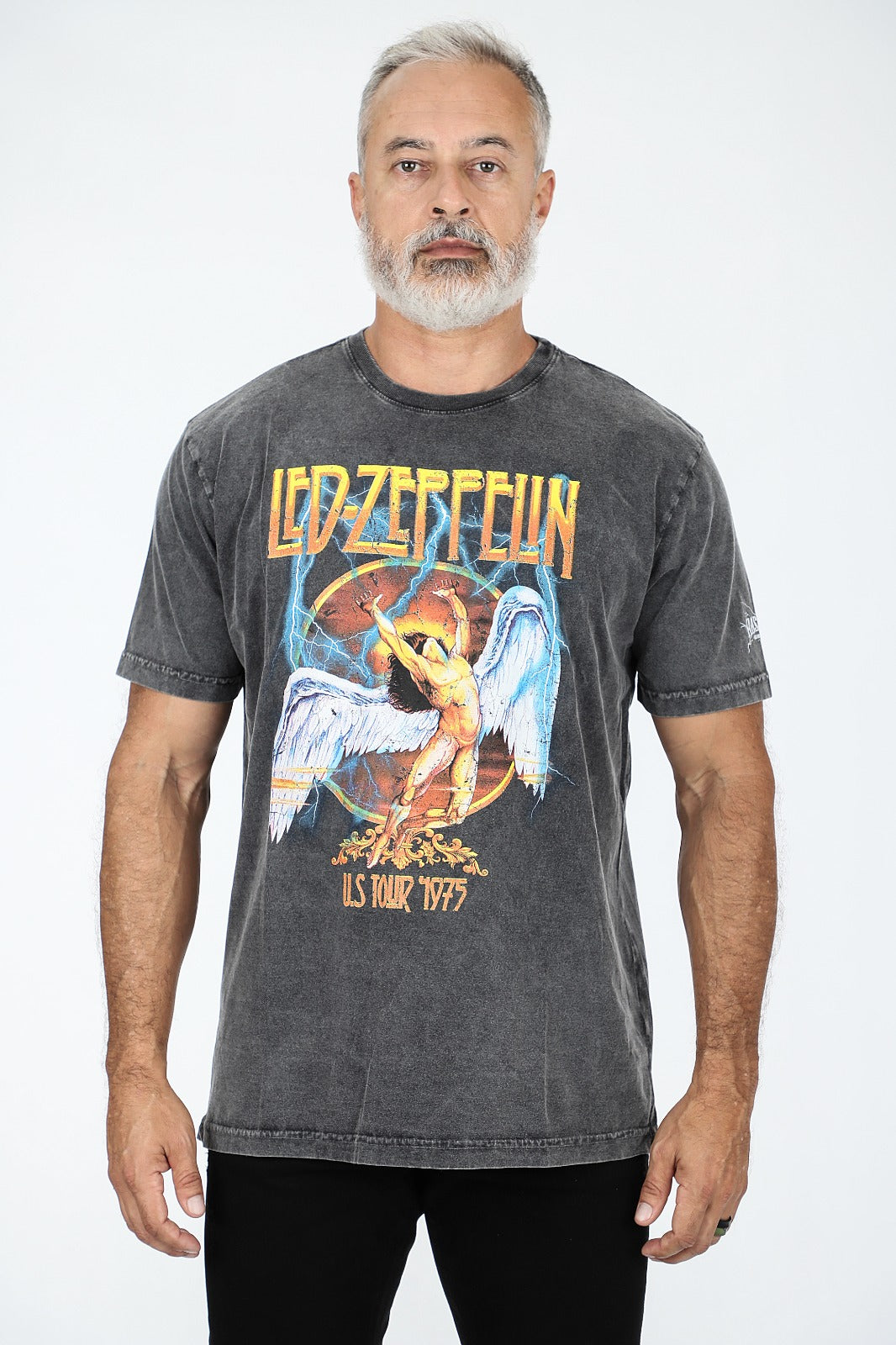 Camiseta Led Zeppelin Kashmir